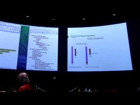 Metabolic Energy - Kevin Ahern's BB 450 Lecture #21 2016