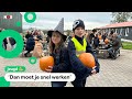 Ties en Floor verkopen deze dagen eng veel pompoenen