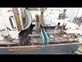 Riproduci video
