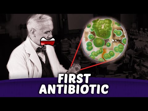 How A Lab Accident Saved Millions of Lives...