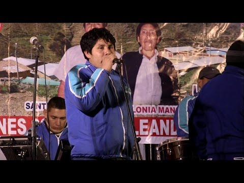EL PUMITA ANDY Y LOS GENIALES  [Concierto en Vivo]