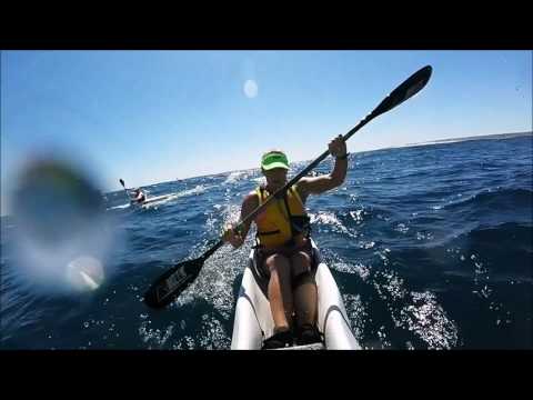 Ningaloo Dreaming 2017