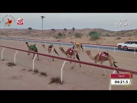  ش 1 (مرموقه) لـ سعادة فرج علي بن حموده 7:59 , شارة الديوان 4 2026/10/25 اللبسه ايذاع 