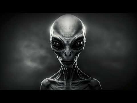 [SOLD] Koneser x Lingo x Learnhowtohustle Type beat - ''Nawet kiedy'' (Prod. Stosik & Ryfvr)