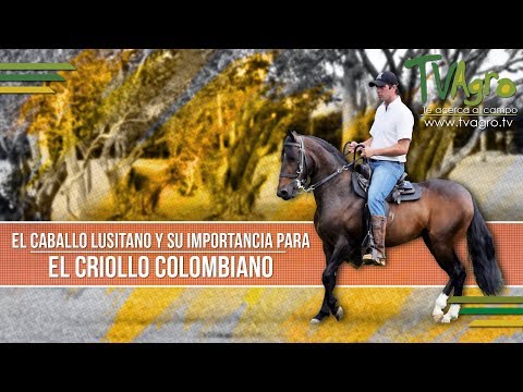 , title : 'El Caballo Lusitano y su Importancia para el Criollo Colombiano -TvAgro por Juan Gonzalo Angel'