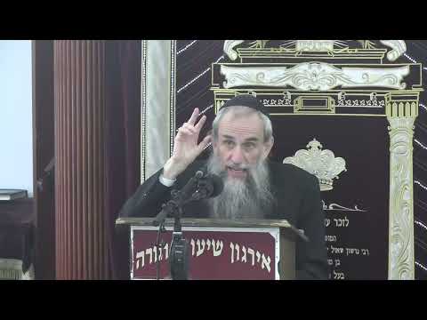 Insects On Shabbos & Yom Tov - Rabbi Zev Smith