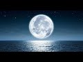 Shy Moon  - Caetano Veloso