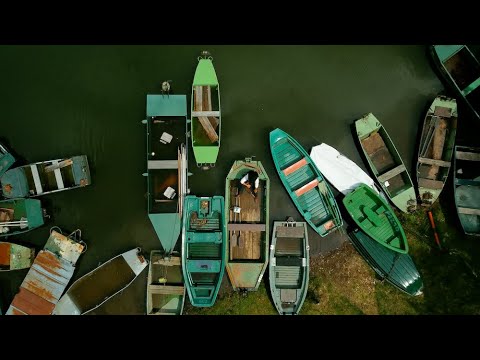 HDMG (live  zu Bauschelt)