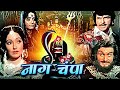 Naag Champa Devotional Hindi Movie | नाग चंपा | Kanan Kaushal, Padma Khanna, Ramesh Deo Bhagwan Dada