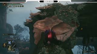 ＃２８ 【ARPG/PS5】ELDEN RING -エルデン リング- 星見　ミケラの聖樹難しいぞ・・・