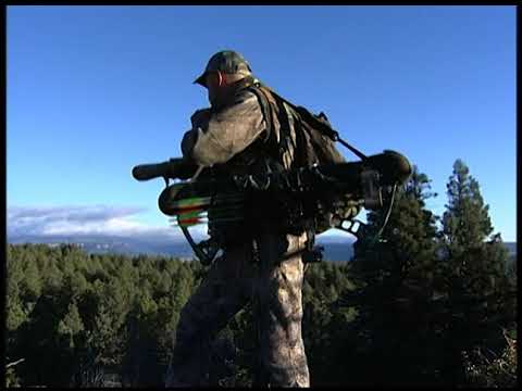 TRUTH 10 BIG BULLS   HIGH COUNTRY BONUS FTG