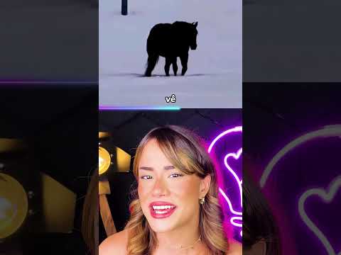 o cavalo está indo pra FRENTE ou PRA TRÁS?