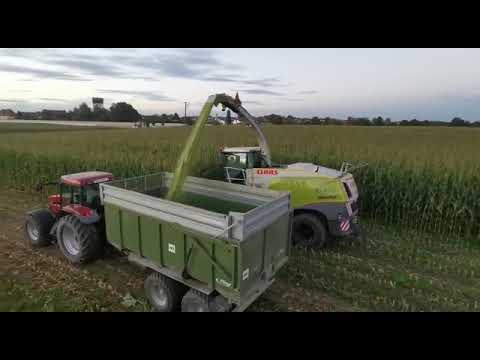 Claas Jaguar 960