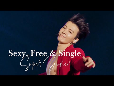 SUPER JUNIOR SEXY, FREE & SINGLE SS8 IN JAPAN