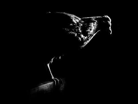 Angelo Badalamenti  "Laurens Walking"