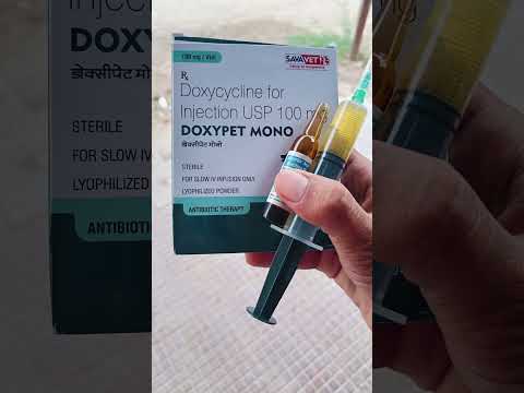 Doxypet mono doxycycline 100mg injection