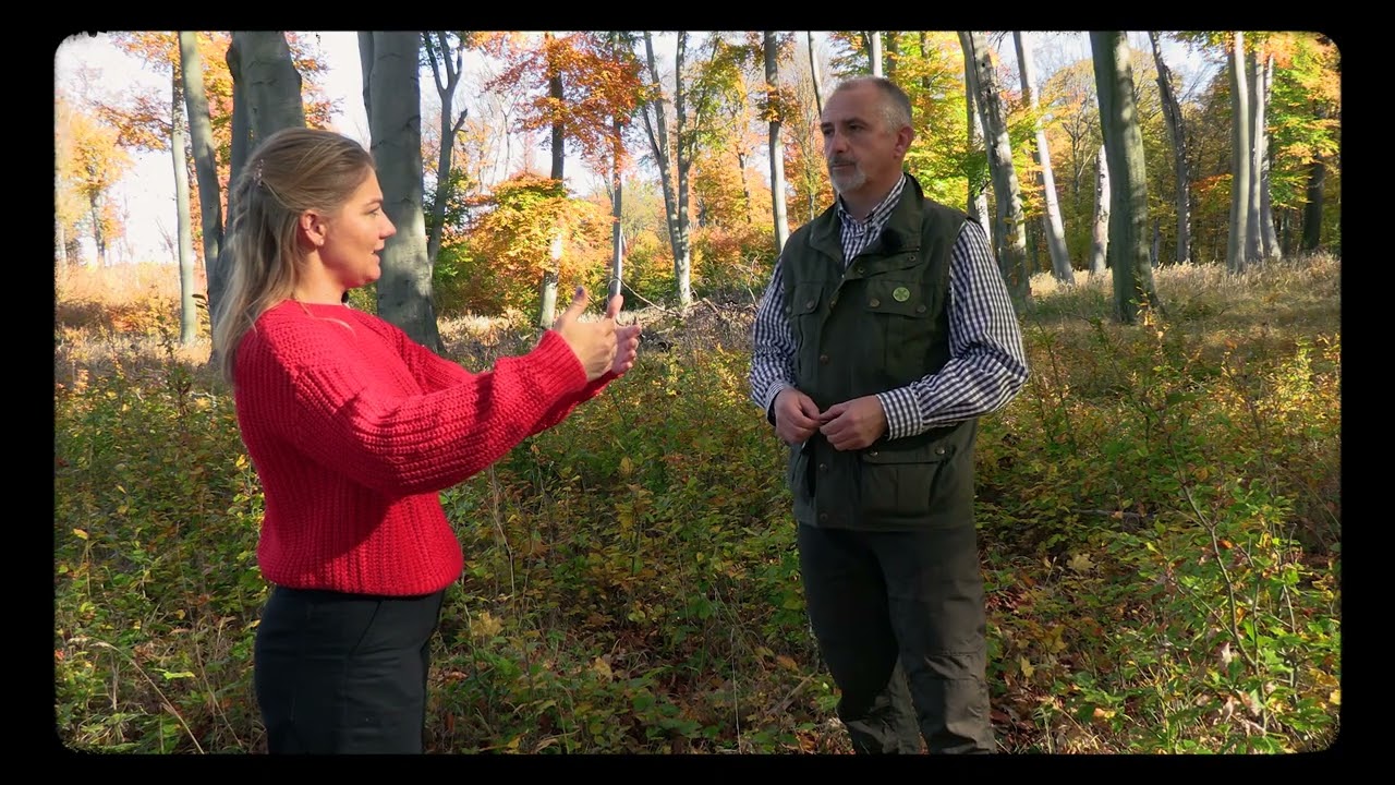 Az erdő ideje – Encsi Csaba mesél az időről és az erdőről | 2. rész