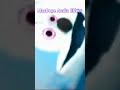 MaxDope Audio Effect
