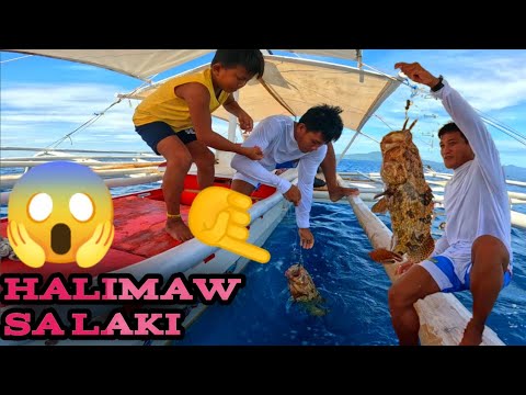 PINAGTULONGAN NG DALAWANG BITERANO ANG MALAKING ISDANG ITO😲