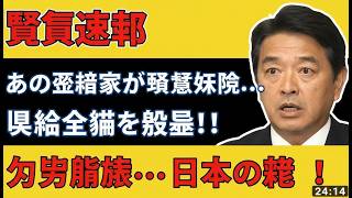 立憲民主党に大変な事態！榛葉幹事長が激怒、維新も突き返し終焉へ #榛葉賀津也 #玉木雄一郎 #立憲民主党