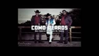 Como perros - Ariel Camacho y los plebes del rancho (Completa 2016)