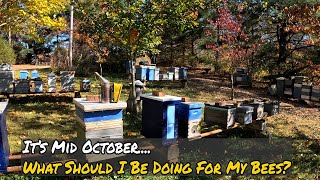 It's Mid October..... What Should I Be Doing With My Bee?