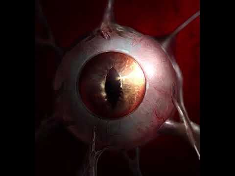 Overmind Introduction