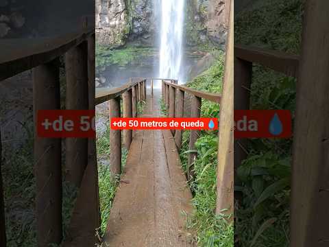A mais linda de faxinal-pr  #nature #turismo #travel #waterfall #viajar #natureza