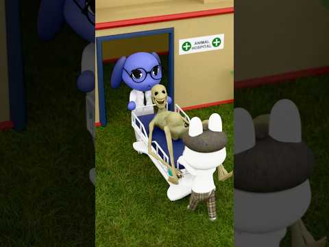 Animal Hospital Saves Verity, Rumi, and Lilly!