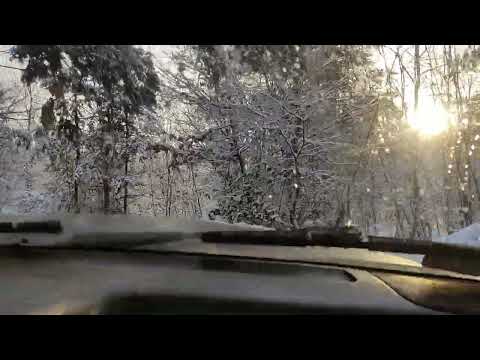 Неповторний зимовий ліс "ВЕЛИКИЙ ДІЛ" 4X4