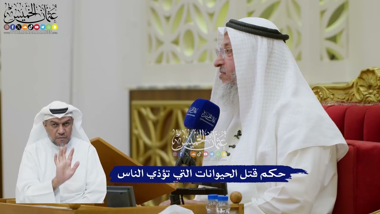 203 - حكم قتل الحيوانات التي تؤذي الناس - عثمان الخميس