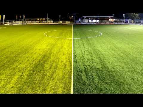 Bon Boys - Rigtersbleek