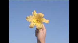 Download lagu Fiji Blue - I Should've Told You (Lyric Video) mp3 Download lagu Fiji Blue - I Should've Told You (Lyric Video) mp3