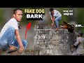 FAKE DOG BARK PUBLIC PRANK Lakas Nilang Tumakbo