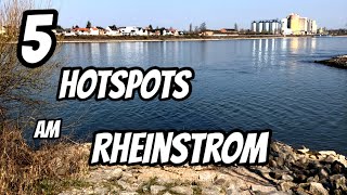 5 top fishing spots on the Rhine