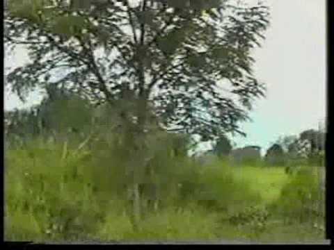 Roçadeiras Dalle Vedove