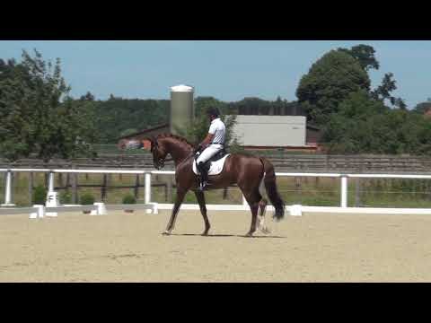 D'AVIE & Severo Jesus Jurado Lopez - 2. WM-Sichtung 2018