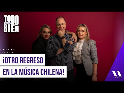 Ariztía's little-known social work