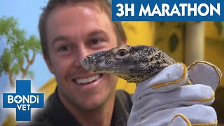 3 Hours Of Extraordinary Reptile Rescues | Bondi Vet