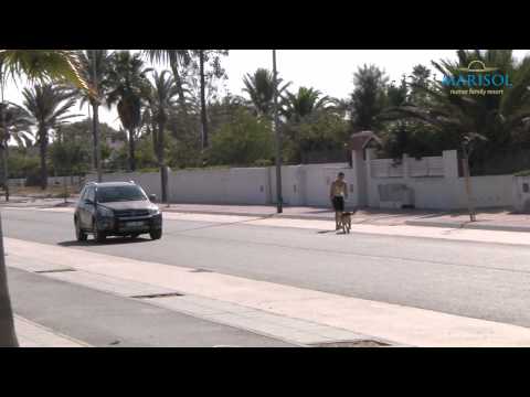 20km herrlicher Badestrand