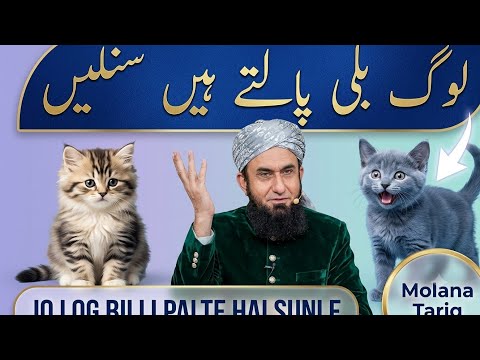 : Jo Log Billi Palte Hai Sunleاردو: جو لوگ بلی پالتے ہیں وہ سن لیں