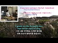 If you were coming in the Fall - Carla Bruni (Poem by Emily Dickinson) [Lyrics] / [한글가사] 카를라 브루니