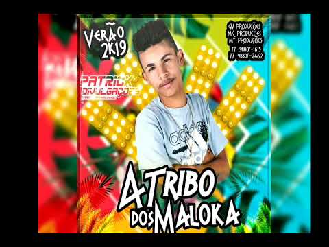 ❌A TRIBO DOS MALOKA VERÃO 2K19 ATUALIZADO PRA PAREDÃO