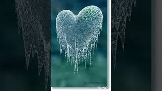 [2000] Missing Heart - Hearts Of Ice