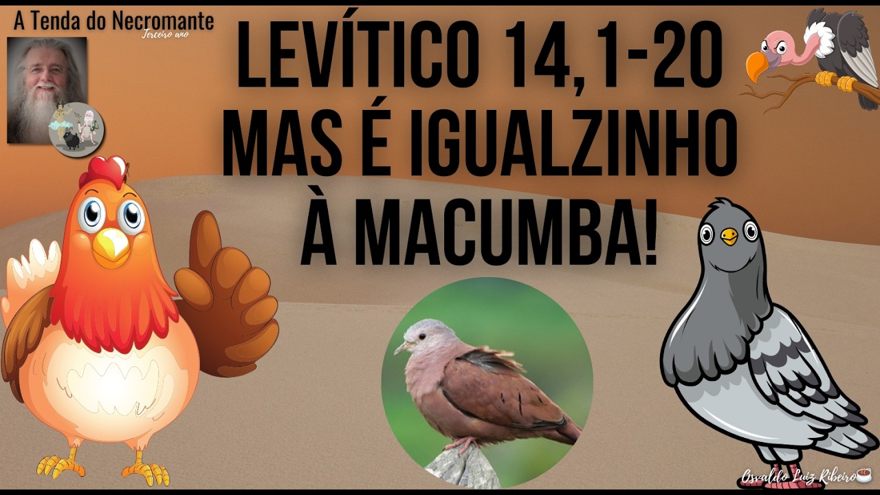 2761. Levítico 14,1-20. Bora matar bicho para purificar o moço da tsara'at. Mais carne pra nós!