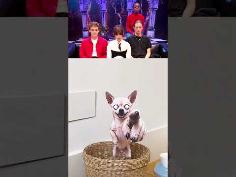 Which one made you laugh 😂 #funny #viralvideo #shorts