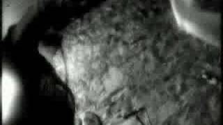 Born to lose - Sweet misery