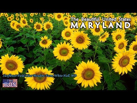 USA Maryland State Symbols/Beautiful Places/Song MARYLAND, MY MARYLAND w/lyrics