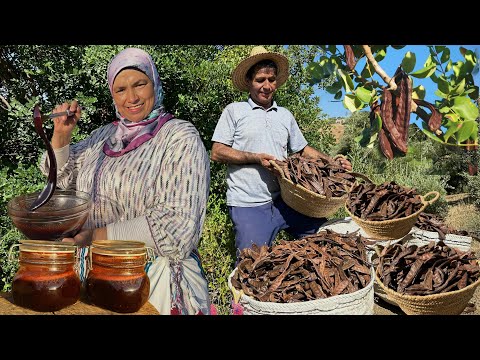 Harvesting Carob from Trees and Turning It into Delicious Natural Honey