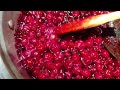 Red Sweet & Spicy Gooseberries/Trinidad Sour Cherries Part 2 of 2/ How to make red sweet cherries